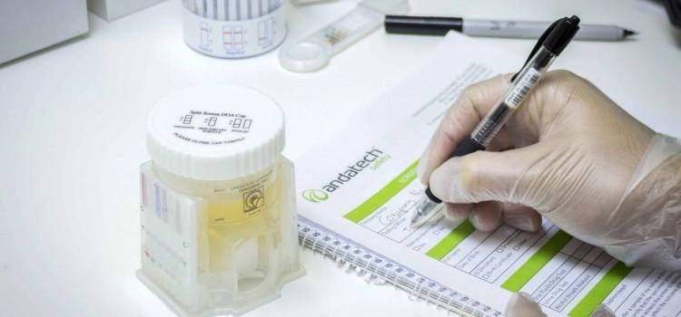 Drug Testing For Workplace Empowerment