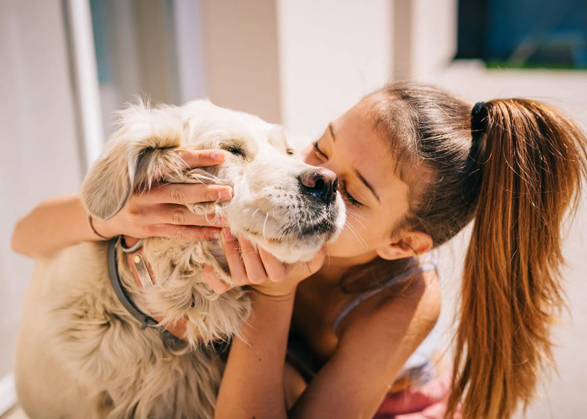 Emotional Benefits of Understanding Pet Palliative Care for Authors Coping With Loss