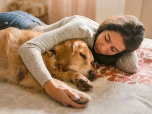 What is palliative care for pets